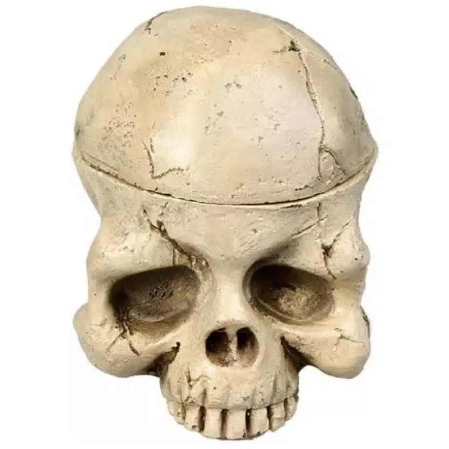 Porta Caps Skull