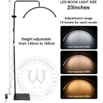 AVA LED Moon