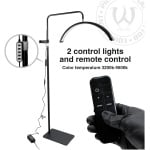 AVA LED Moon