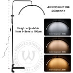 AVA LED Moon