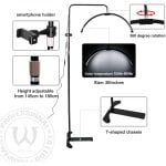 AVA LED Moon