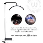 AVA LED Moon