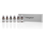 Ombre Brows Collection
