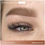 Ombre Brows Collection