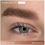 Ombre Brows Collection