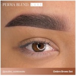 Ombre Brows Collection